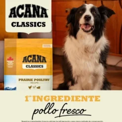 Acana Classics Prairie Poultry ração para cães