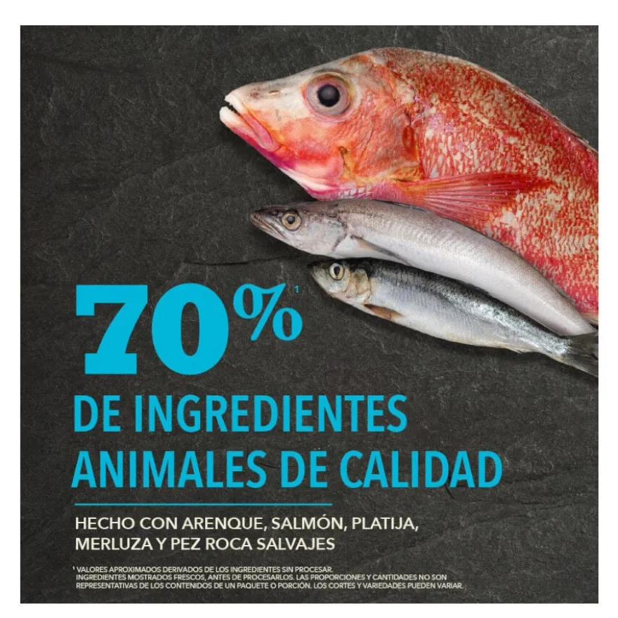Acana HP Pacífica ração para cães