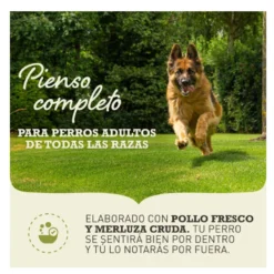 Acana Light & Fit ração para cães