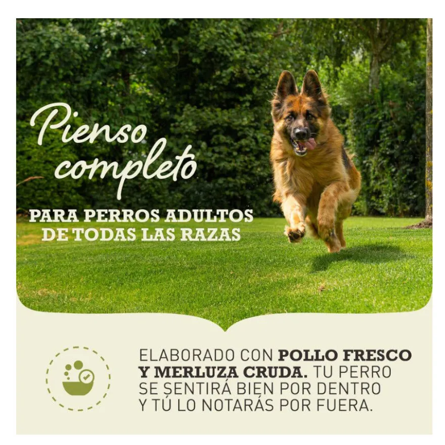 Acana Light & Fit ração para cães