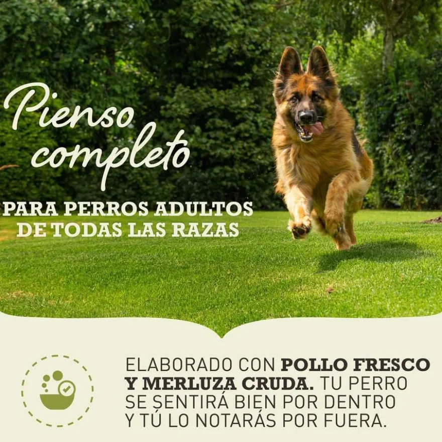 Acana Senior ração para cães
