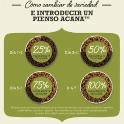 Acana Senior ração para cães