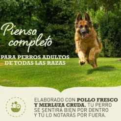 Acana Sport & Agility ração para cães