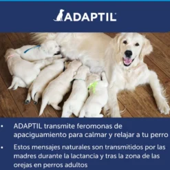 Adaptil Difusor e Recarga Tranquilizante para Cães
