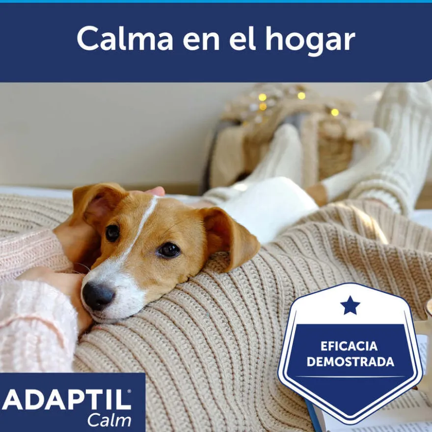 Adaptil Difusor e Recarga Tranquilizante para Cães
