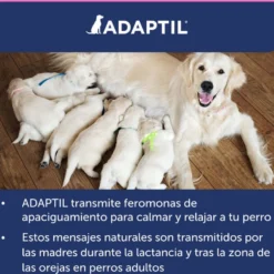 Adaptil Junior Coleira Anti-stress para cães