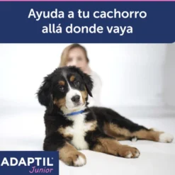 Adaptil Junior Coleira Anti-stress para cães