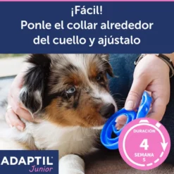 Adaptil Junior Coleira Anti-stress para cães