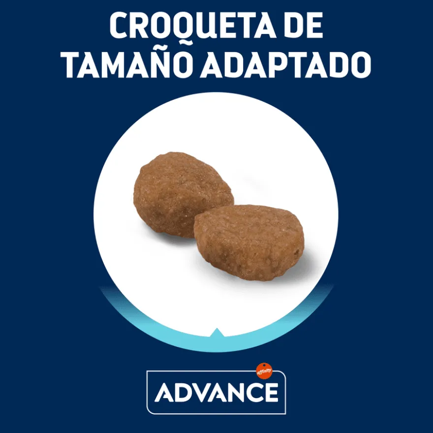 Advance Active Defense Adult Frango e Arroz Ração para gatos
