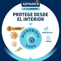 Advance Active Defense Frango e Arroz ração para gatinhos