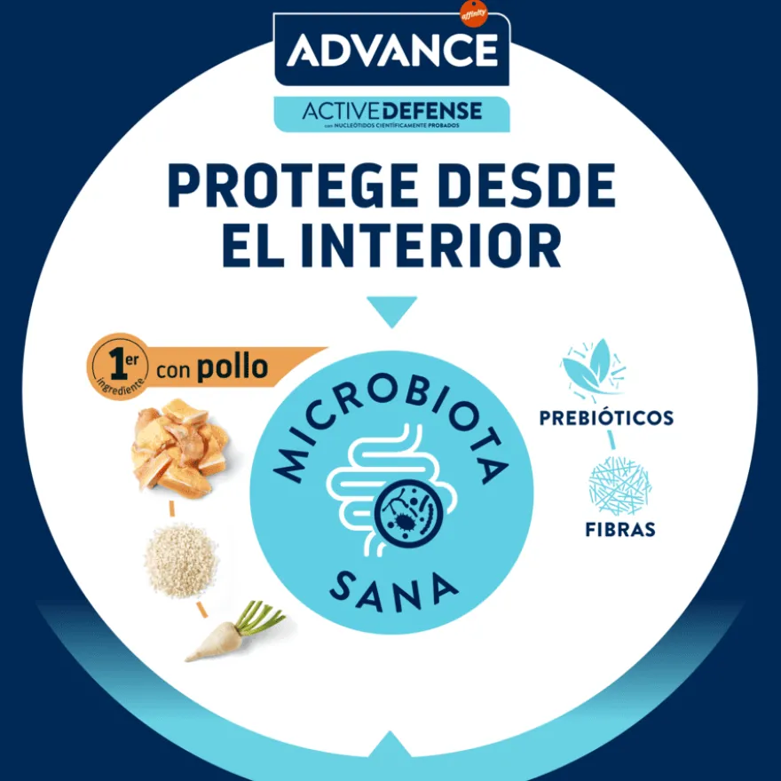 Advance Active Defense Frango e Arroz ração para gatinhos