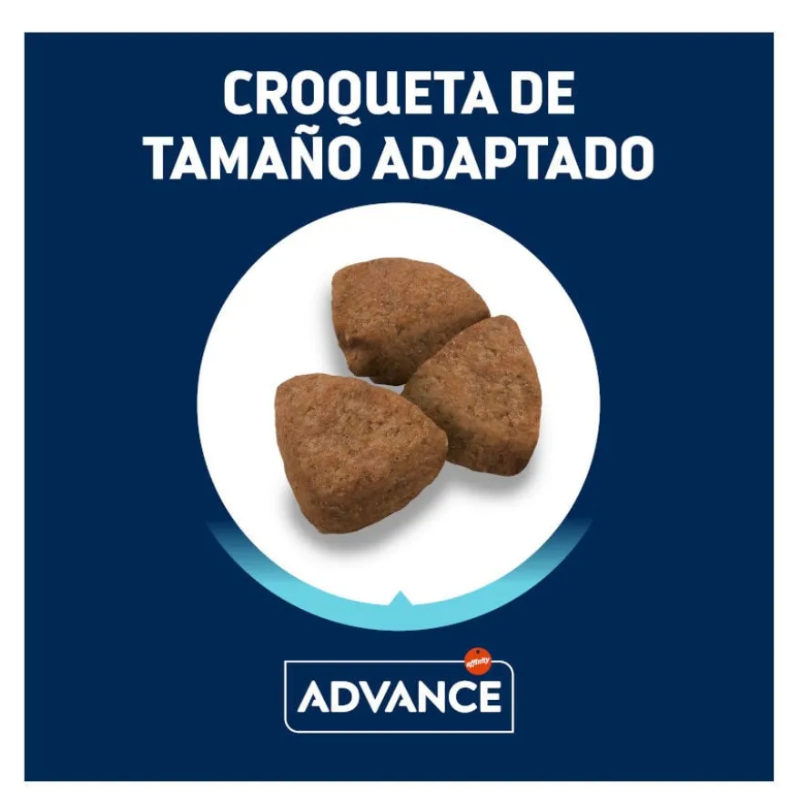 Advance Active Defense Maxi Adult Frango e Arroz ração para cães