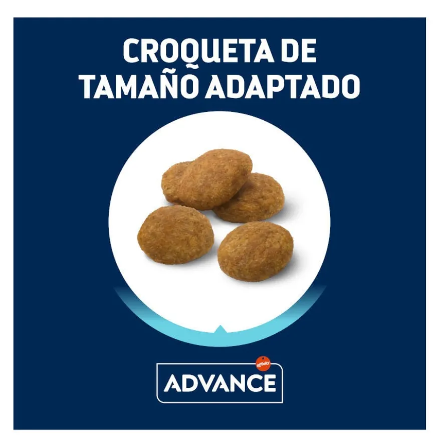 Advance Active Defense Medium Puppy Frango e Arroz ração para cães