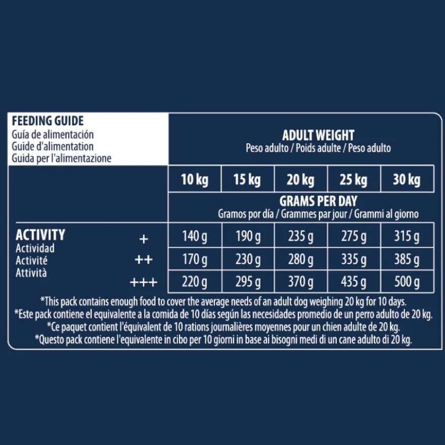 Advance Active Defense Medium Senior +7 Frango e Arroz ração para cães