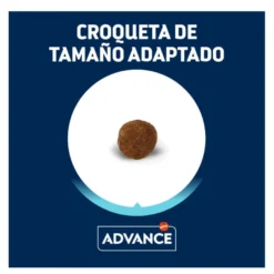 Advance Active Defense Yorkshire Terrier Adult Frango e Arroz ração para cães