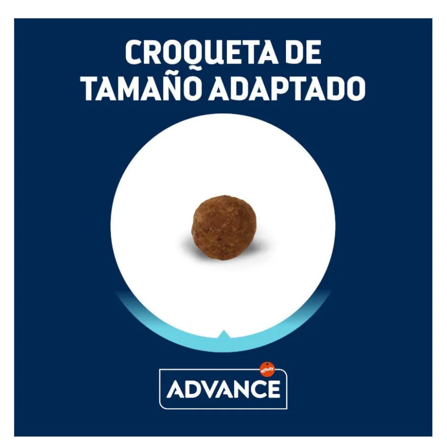 Advance Active Defense Yorkshire Terrier Adult Frango e Arroz ração para cães