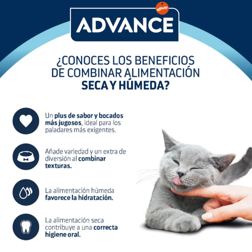 Advance Adult Bocaditos com Frango em Saqueta em molho para gatos