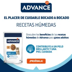 Advance Adult Bocaditos com Frango em Saqueta em molho para gatos