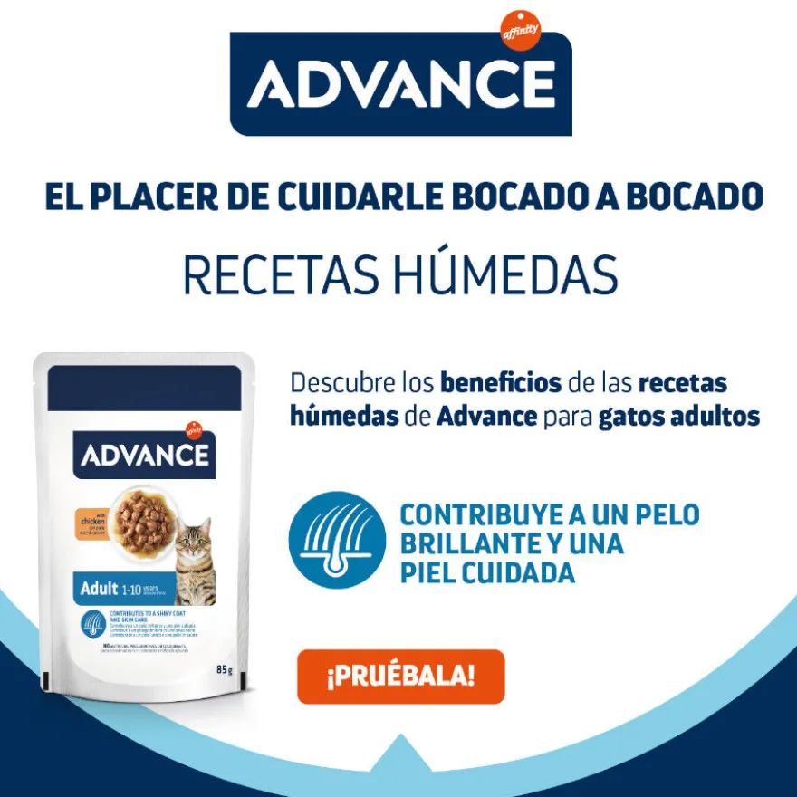 Advance Adult Bocaditos com Frango em Saqueta em molho para gatos