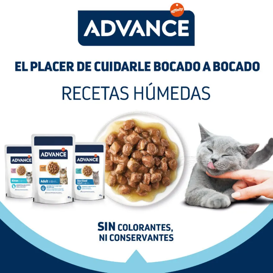 Advance Adult Bocaditos com Frango em Saqueta em molho para gatos