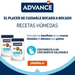 Advance Kitten Comida húmida de frango em saqueta para gatos
