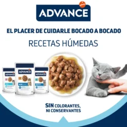 Advance Kitten Peru em molho saquetas