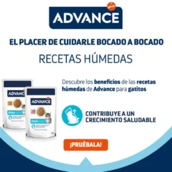 Advance Kitten Peru em molho saquetas