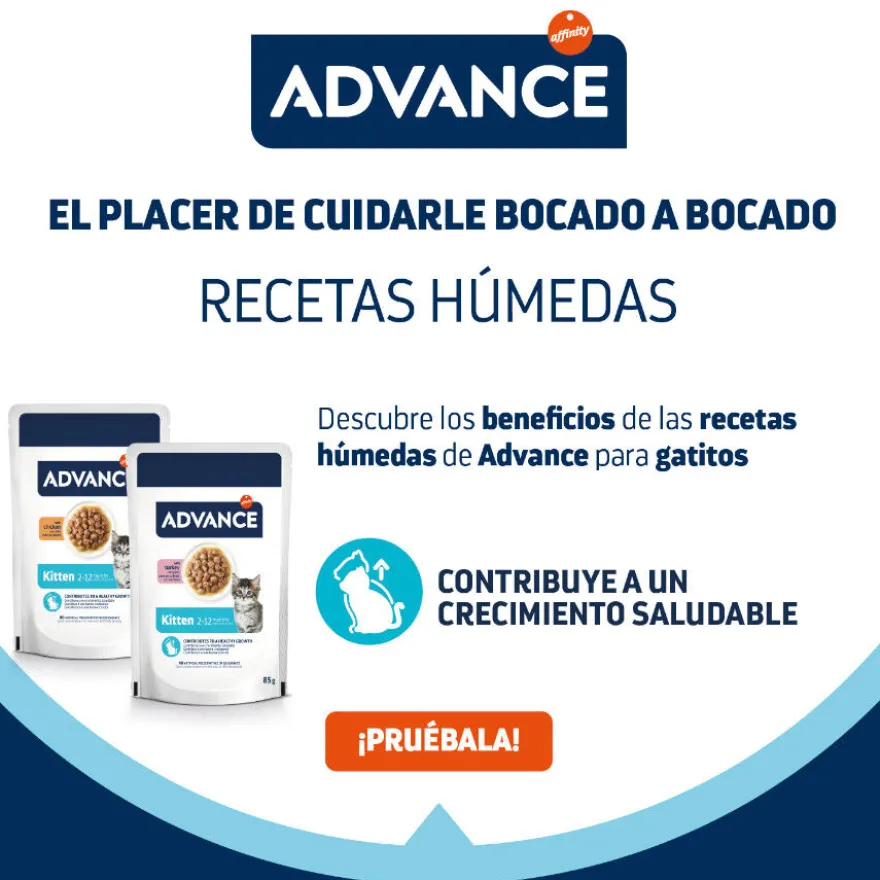 Advance Kitten Peru em molho saquetas