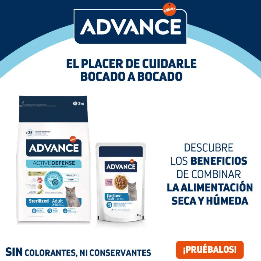 Advance Sterilized Adult Bacalhau saquetas para gatos