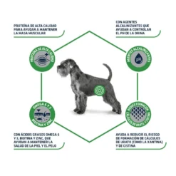 Advance Urinary Low Purine ração para cães