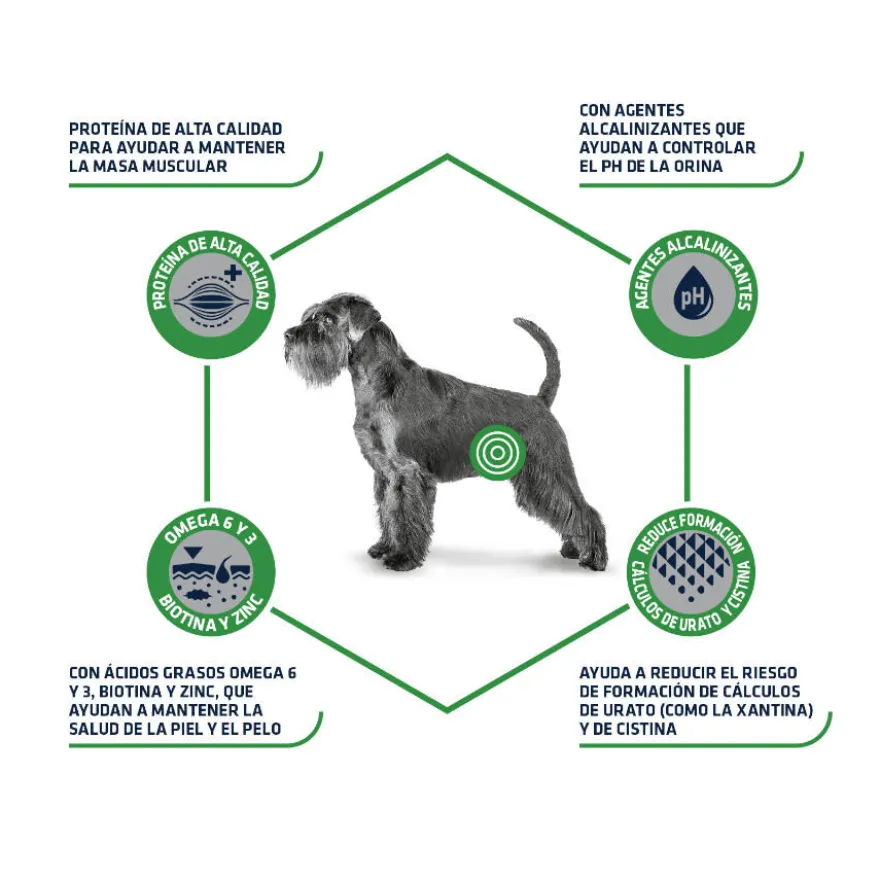 Advance Urinary Low Purine ração para cães