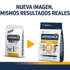 Advance Veterinary Diets Renal ração para gatos