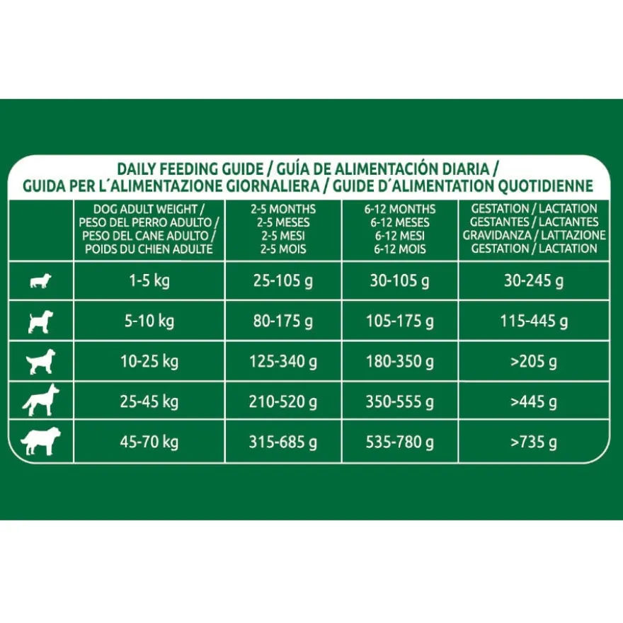 Affinity Libra Puppy Frango ração para cães