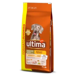 Affinity Ultima Adult Medium/Maxi Frango ração para cães