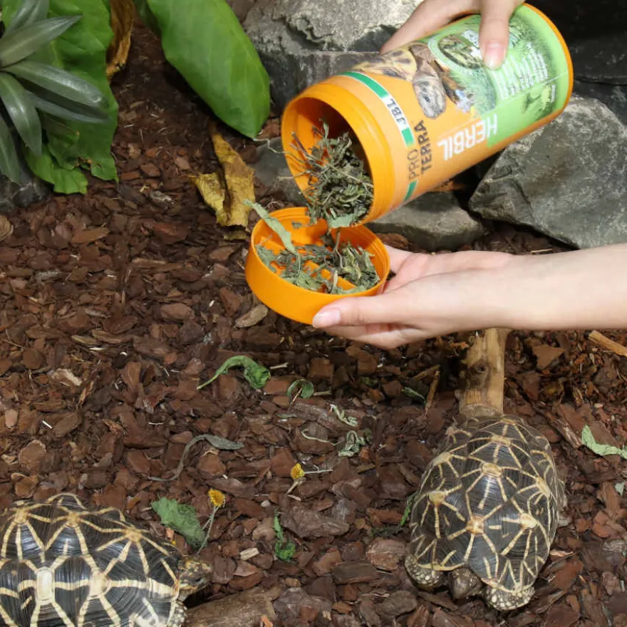 Alimento JBL Proterra Herbil para tartarugas