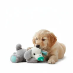 All For Paws Brinquedo chupeta Heartbeat branco para cachorros