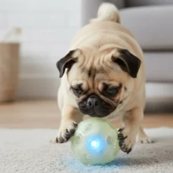 All For Paws Brinquedo Knite bola com luz para cães