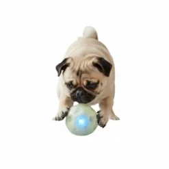 All For Paws Brinquedo Knite bola com luz para cães