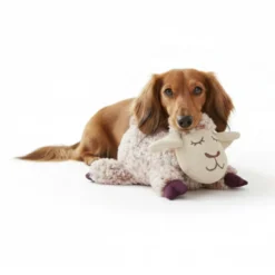 All For Paws Calming Pals Ovelha com Lavanda Brinquedo para cães