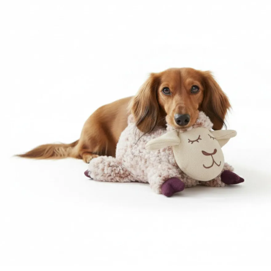 All For Paws Calming Pals Ovelha com Lavanda Brinquedo para cães