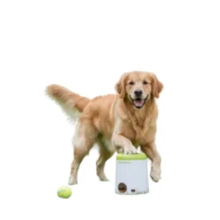 All For Paws Interactives Brinquedo dispensador de snacks para cães