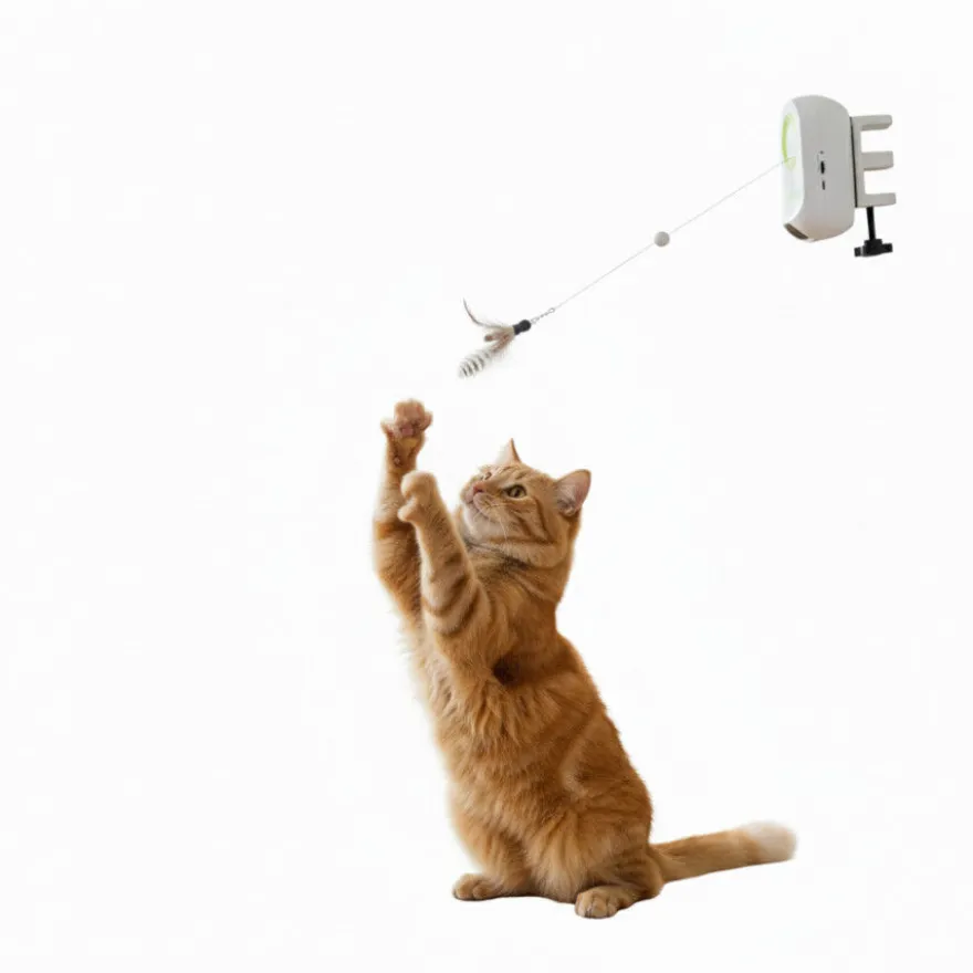 All For Paws Interactives Brinquedo Yoyo Bug para gatos