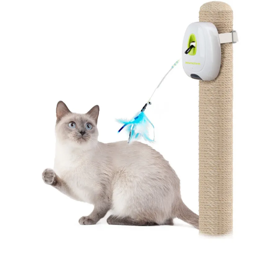 All For Paws Interactives Jumpin Wand Brinquedo para gatos
