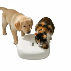 All For Paws Lifestyle Comedouro Automático Branco para cães e gatos