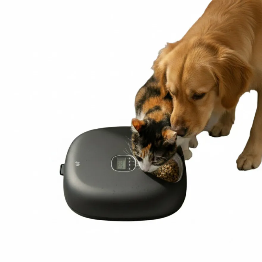 All For Paws Lifestyle Comedouro automático preto para cães e gatos