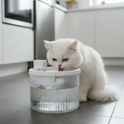 All For Paws Lifestyle Fonte sem fios para cães y gatos