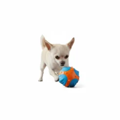 All For Paws Meta Ball X Bola de ressalto Brinquedo para cães