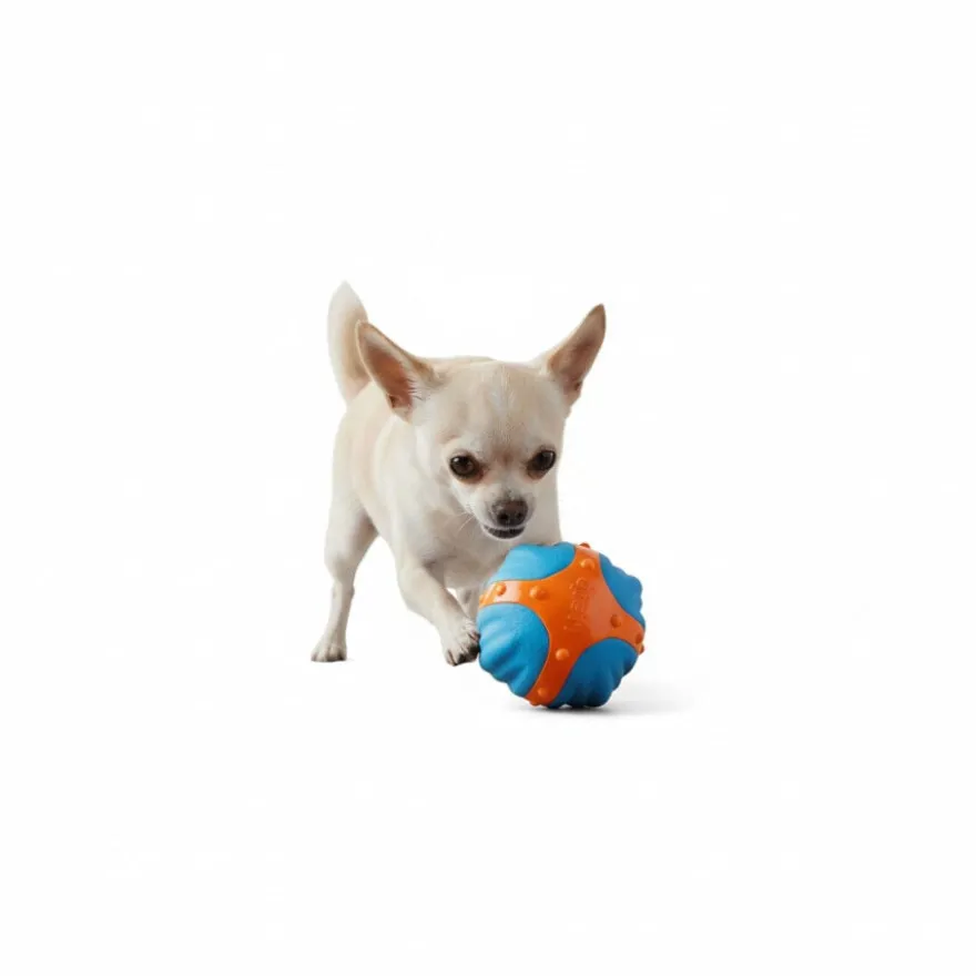 All For Paws Meta Ball X Bola de ressalto Brinquedo para cães
