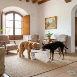 All For Paws Multi Height Comedouro Duplo para cães e gatos