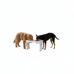 All For Paws Multi Height Comedouro Duplo para cães e gatos